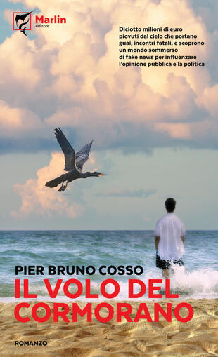 copertina Il volo del cormorano