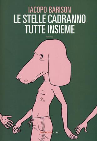 copertina Le stelle cadranno tutte insieme