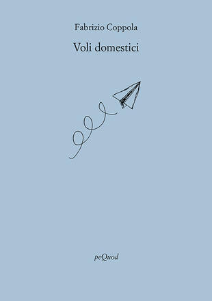 copertina Voli domestici