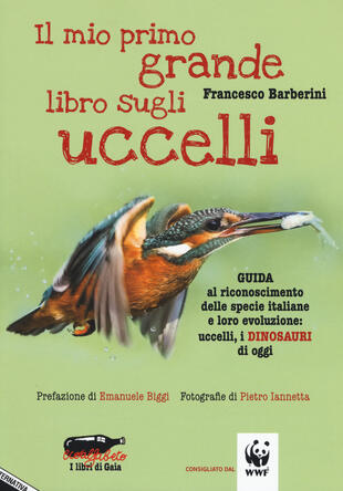 copertina Il mio primo grande libro sugli uccelli. Guida al riconoscimento delle specie italiane e loro evoluzione: uccelli, i dinosauri di oggi