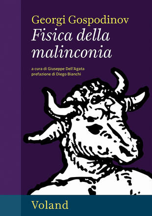copertina Fisica della malinconia
