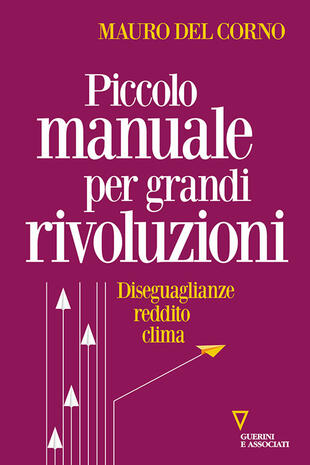 copertina Piccolo manuale per grandi rivoluzioni. Diseguaglianze, reddito, clima