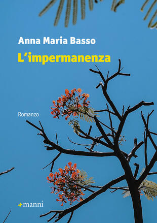 copertina L' impermanenza