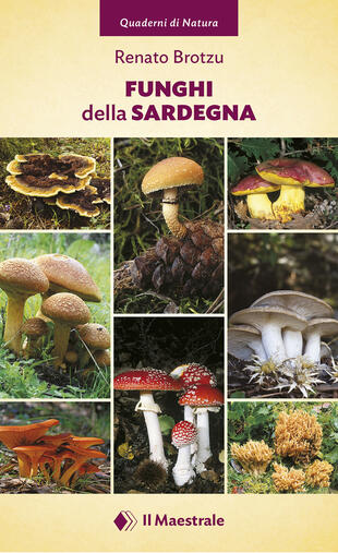 copertina Funghi della Sardegna. Ediz. illustrata