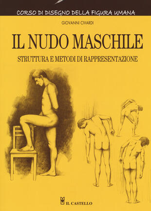 copertina Il nudo maschile. Struttura e metodi di rappresentazione. Corso di disegno della figura umana. Ediz. illustrata