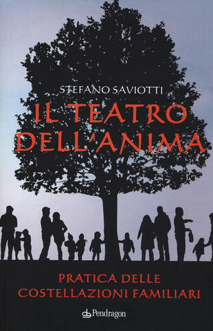 copertina Il teatro dell'anima. Pratica delle costellazioni familiari