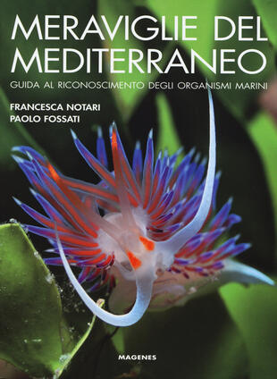 copertina Meraviglie del Mediterraneo. Guida al riconoscimento degli organismi marini