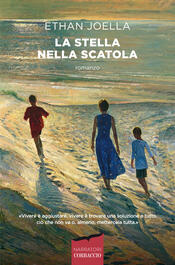 copertina La stella nella scatola