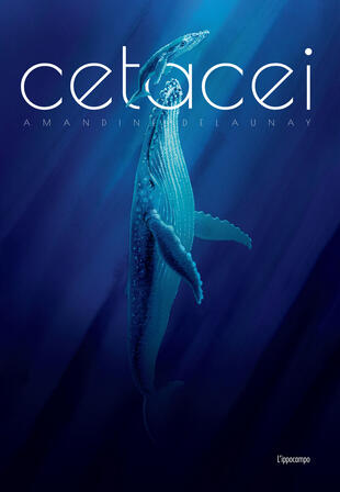 copertina Cetacei. Album scoperte