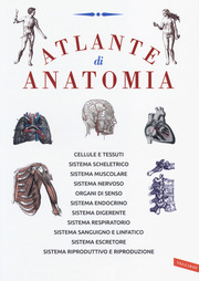 Atlante di anatomia