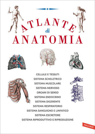 copertina Atlante di anatomia