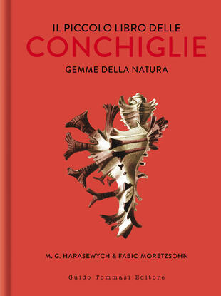copertina Il piccolo libro delle conchiglie. Gemme della natura. Ediz. illustrata