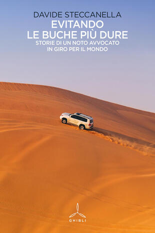 copertina Evitando le buche pi&ugrave; dure. Storie di un noto avvocato in giro per il mondo