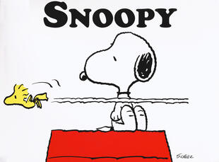 copertina Snoopy Edizione limitata