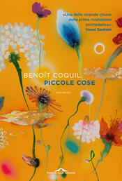 copertina Piccole cose