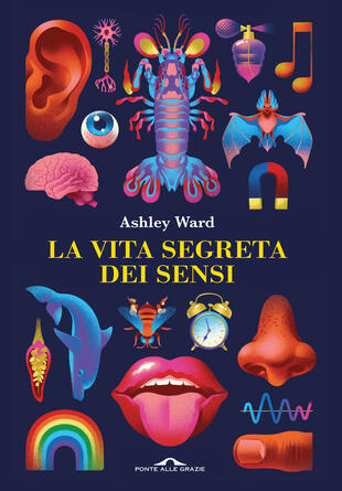 copertina La vita segreta dei sensi