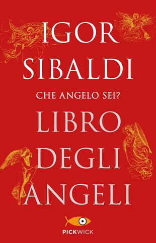 copertina Libro degli angeli
