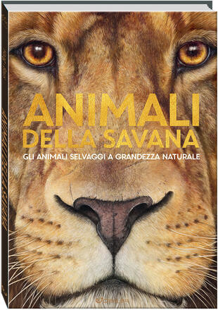 copertina Gli animali della savana. Gli animali selvaggi a grandezza naturale. Ediz. illustrata