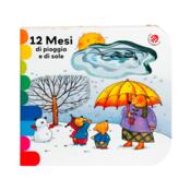 copertina 12 mesi di pioggia e di sole