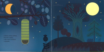 Buongiorno, farfalla!