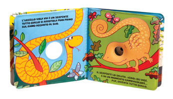 Camaleonte cambia colore!