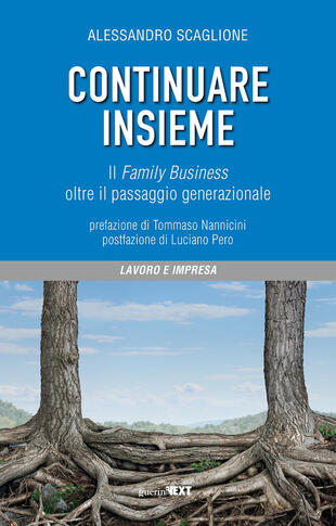 copertina Continuare insieme. Il family business oltre il passaggio generazionale
