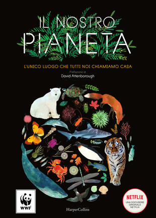 copertina Il nostro pianeta. L'unico luogo che tutti noi chiamiamo casa. Ediz. a colori
