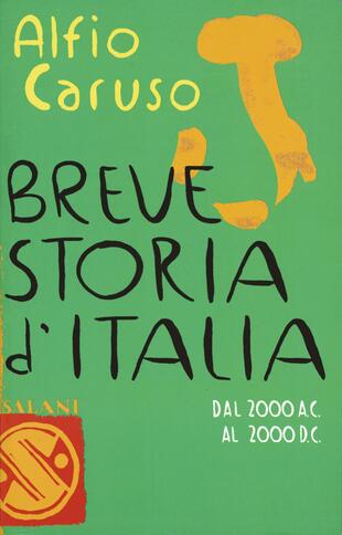 copertina Breve storia d'Italia