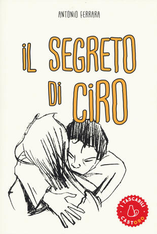 copertina Il segreto di Ciro