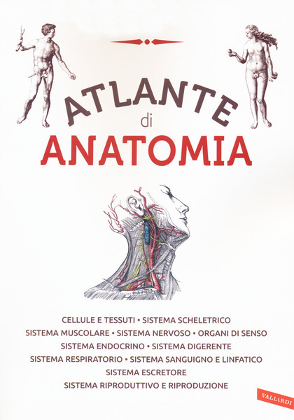 Atlante di anatomia