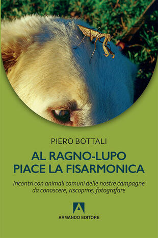 copertina Al ragno-lupo piace la fisarmonica. Incontri con animali comuni delle nostre campagne da conoscere, riscoprire, fotografare