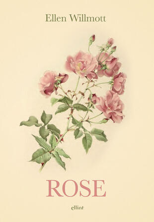 copertina Rose