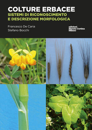 copertina Colture erbacee. Riconoscimento e descrizione morfologica