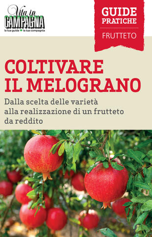 copertina Coltivare il melograno. Dalla scelta delle varietà alla realizzazione di un frutteto da reddito