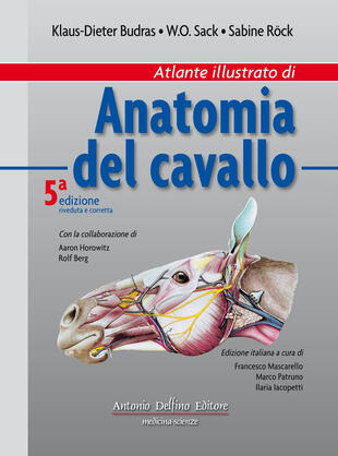 copertina Atlante illustrato di anatomia del cavallo. Ediz. illustrata