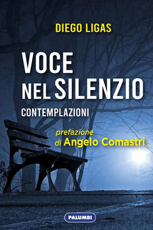 copertina Voce nel silenzio. Contemplazioni