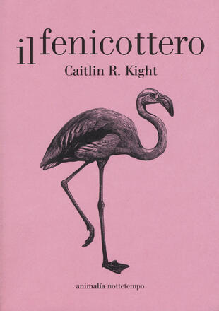 copertina Il fenicottero