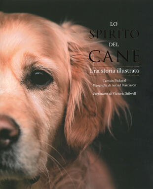 copertina Lo spirito del cane. Una storia illustrata