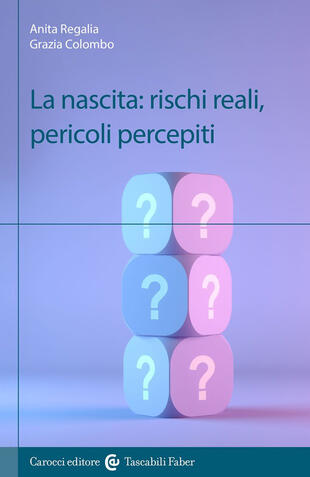 copertina La nascita: rischi reali, pericoli percepiti