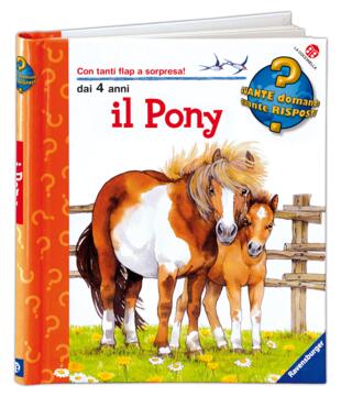 copertina Il pony