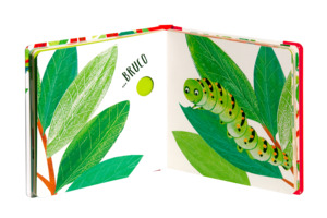 Toc toc... Chi abita qui?