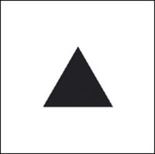 copertina Il triangolo