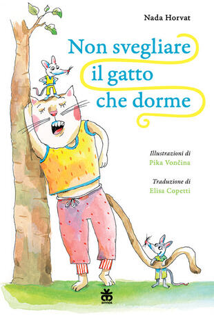 copertina Non svegliare il gatto che dorme