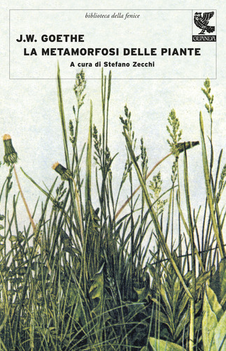 La metamorfosi delle piante
