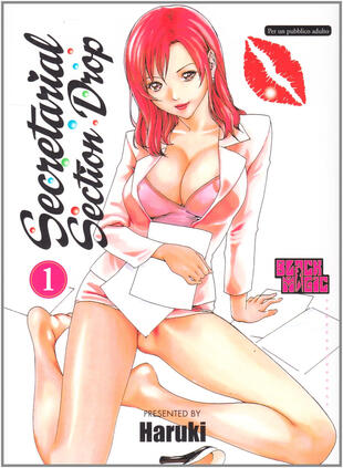 copertina Secretarial Section Drop. Vol. 1