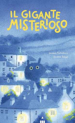 copertina Il gigante misterioso. Ediz. a colori