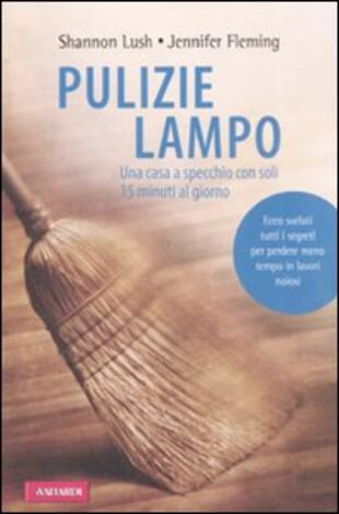 copertina Pulizie lampo