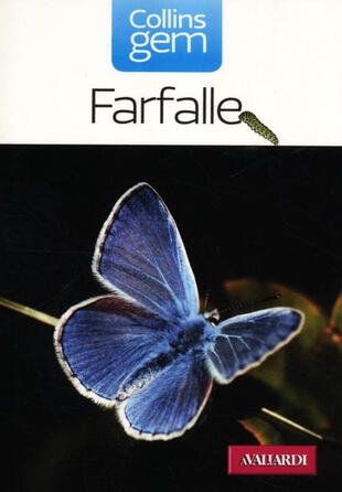 copertina Farfalle