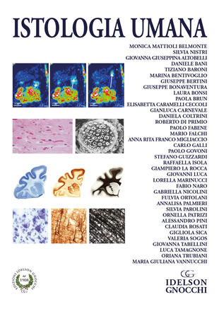 copertina Istologia umana. Ediz. per la scuola