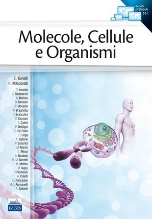 copertina Molecole, cellule e organismi